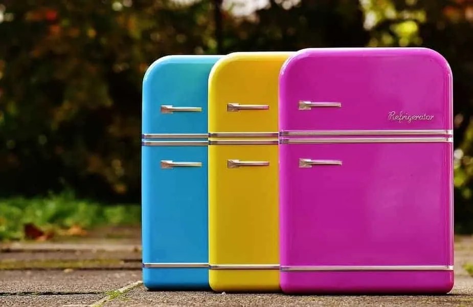 How Much Does a Mini Fridge Cost? (For Purchase and Monthly) Survival