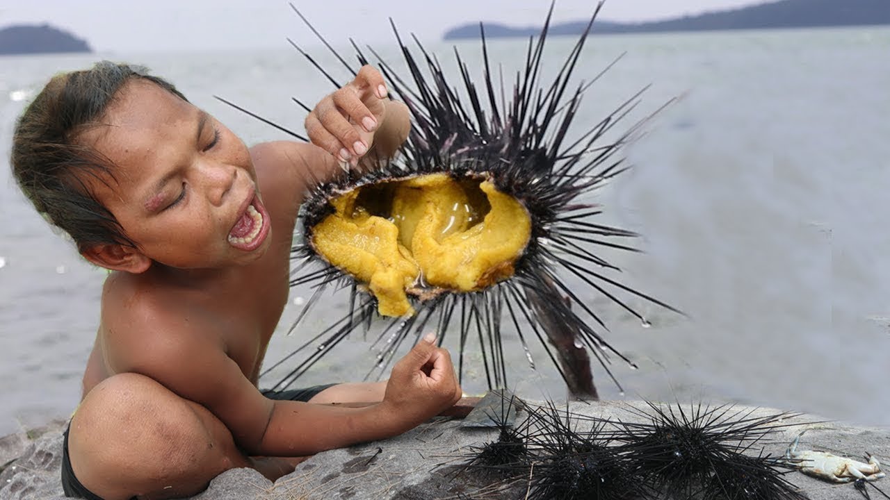Primitive Technology Find and Catch Urchin in Ocean Survival Skills