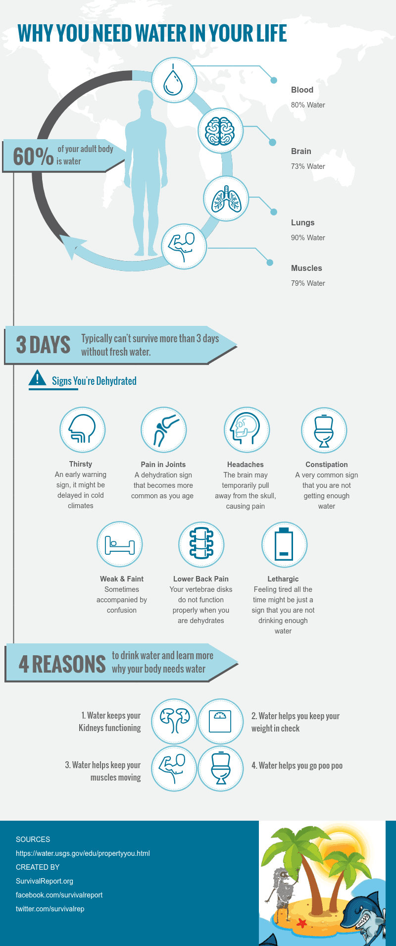 How To Find And Purify Water In The Wild