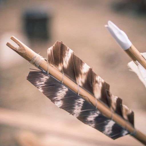 Build Your Own Primitive Arrow Quiver
