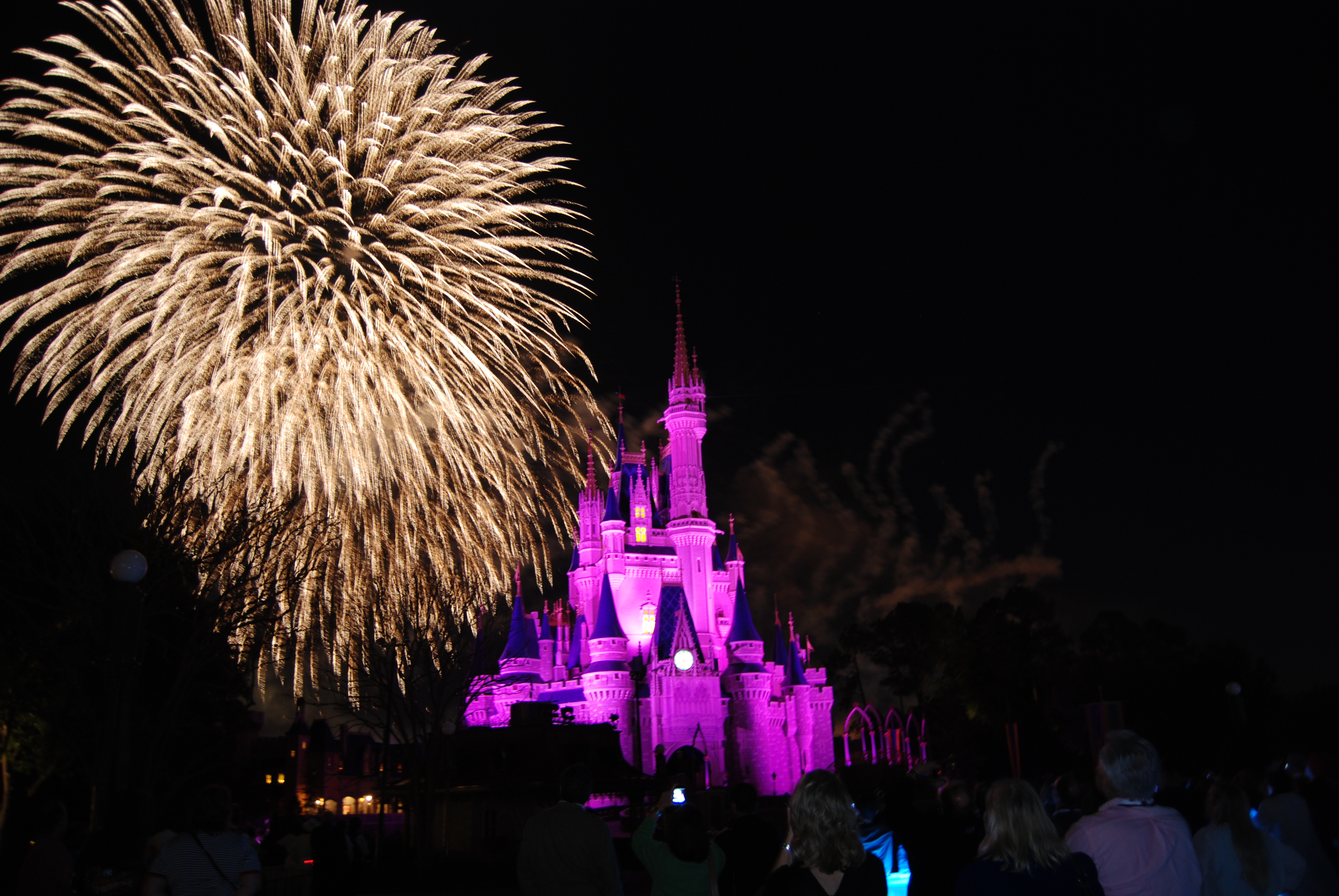 Top5 Places to watch fireworks around Magic Kingdom Surviving Disney