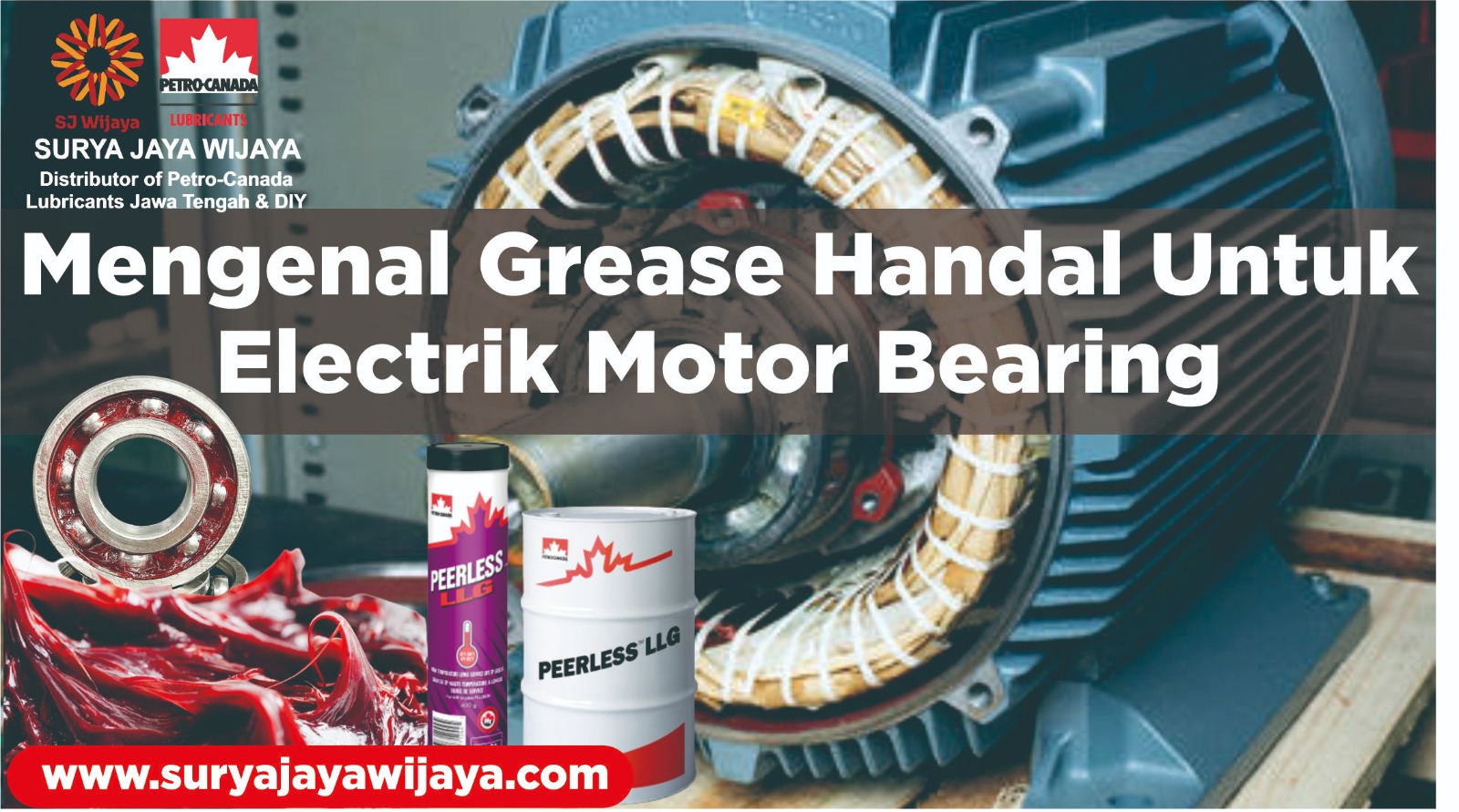 Mengenal Grease Handal Untuk Electric Motor Bearing Surya Jaya Wijaya