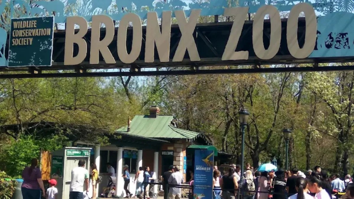 Bronx Zoo The Ultimate Guide to New York’s Premier Wildlife Destination(09)