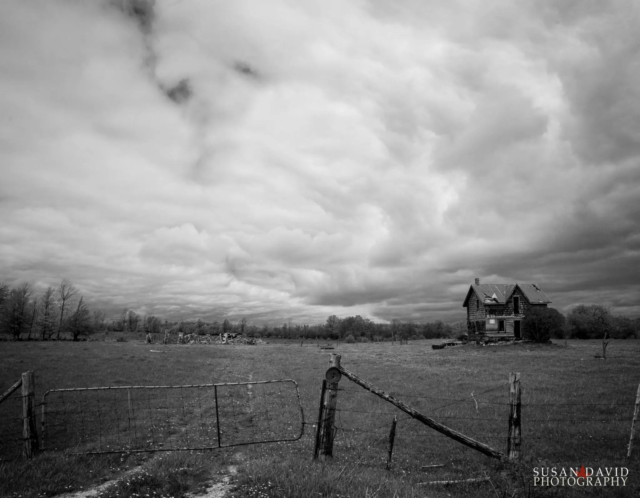 Haunted Susan David Photography