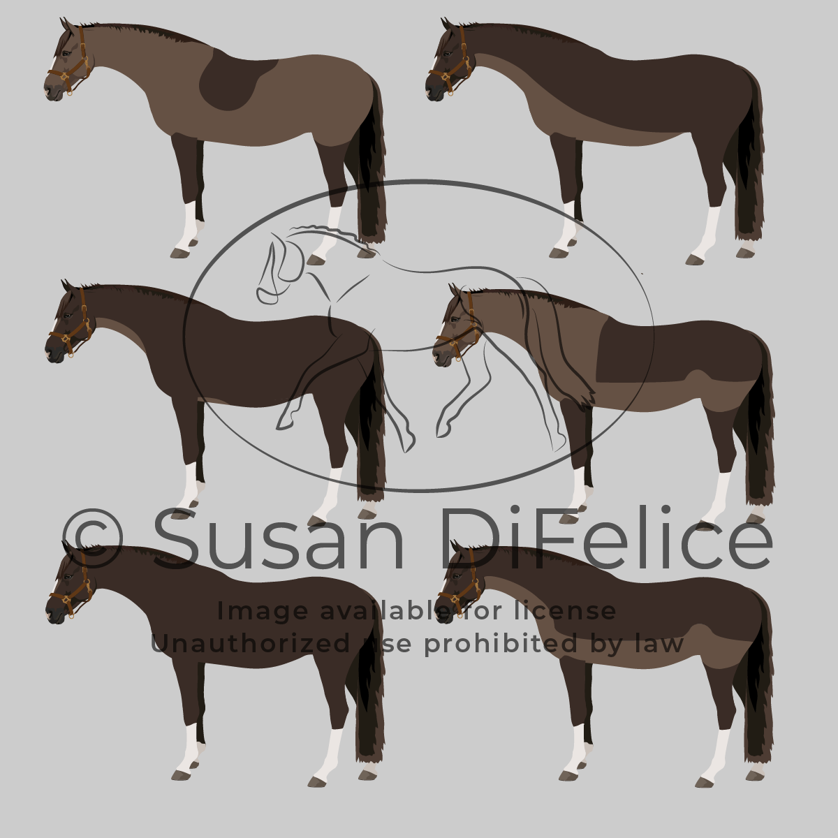 Horse Body Clip Types Susan DiFelice