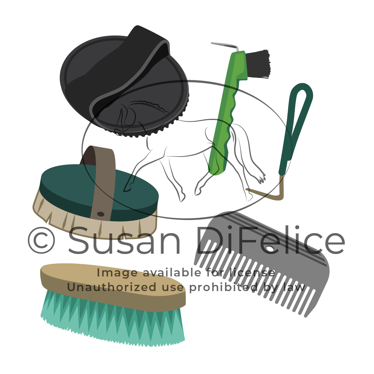 Horse Grooming Tools Susan DiFelice