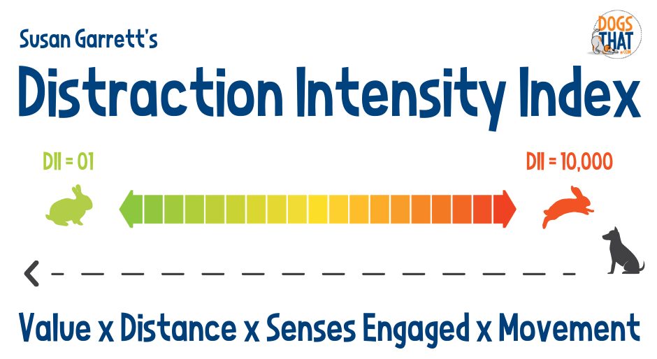 How to Use the Distraction Intensity Index to Help Your Dog Susan