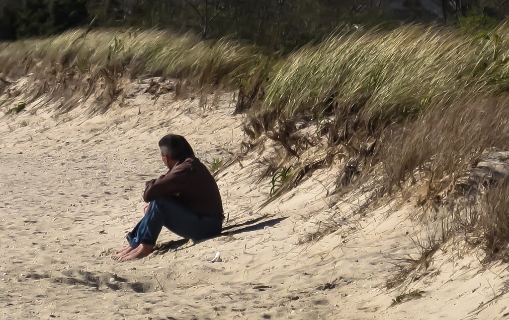 Hiding in Plain Sight Just Susan