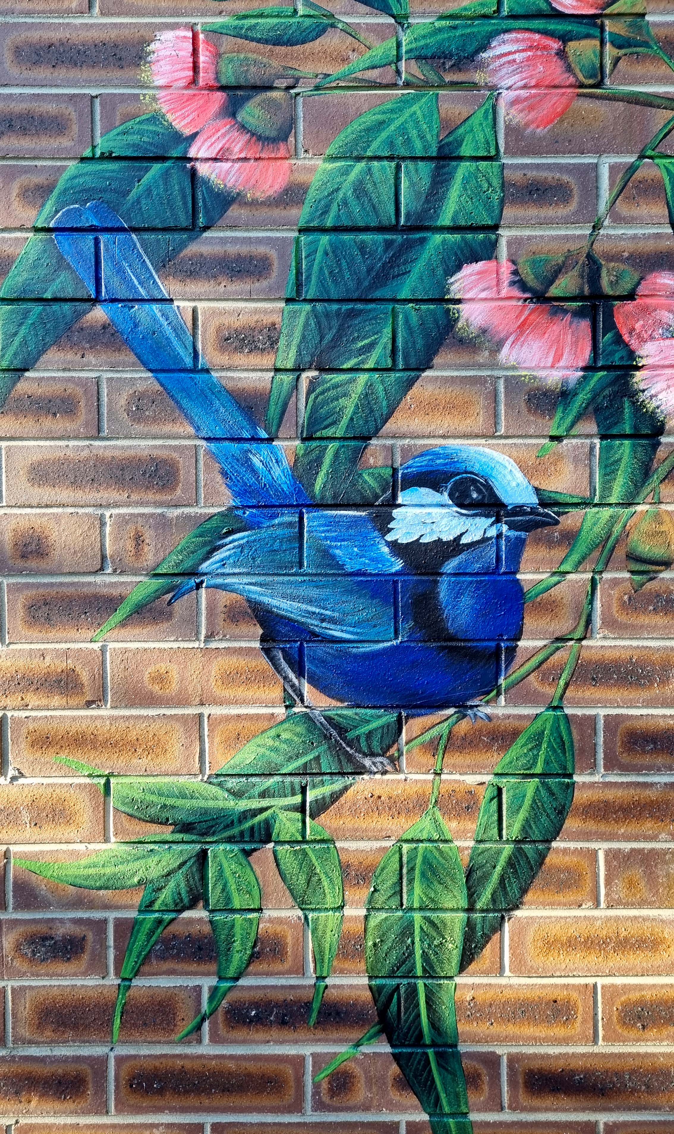 Perth Wall Murals Susan Respinger