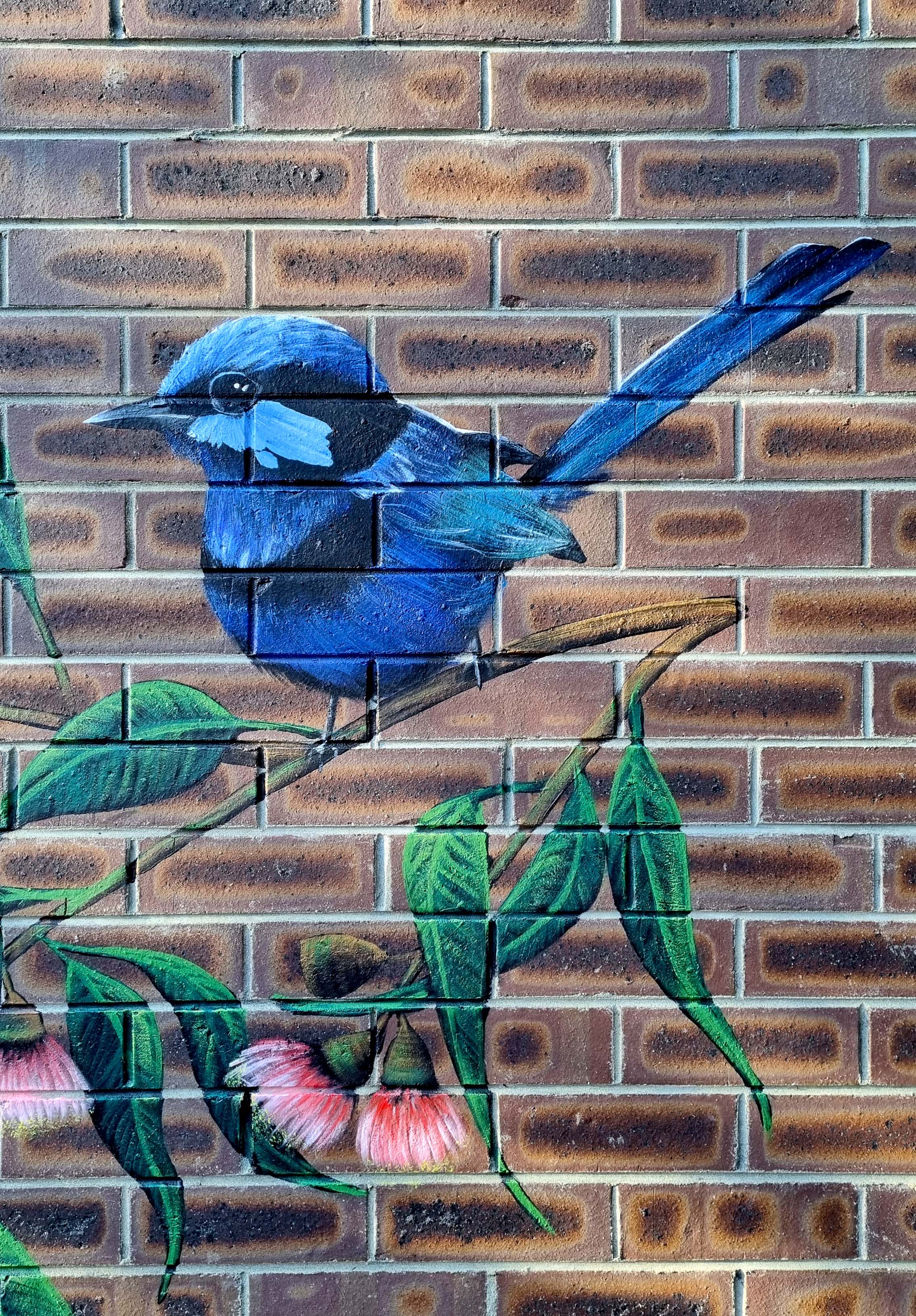 Perth Wall Murals Susan Respinger