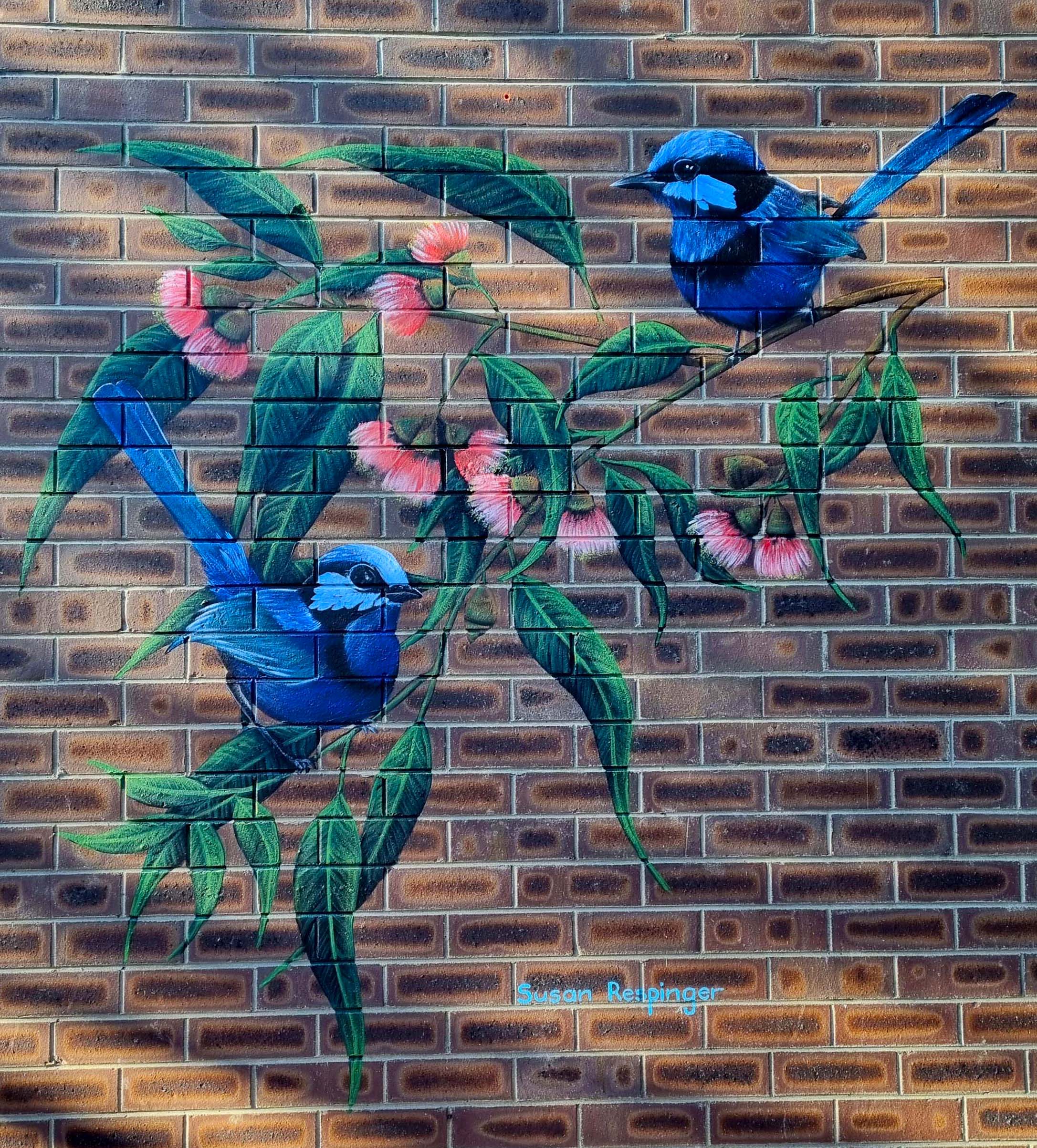 Perth Wall Murals Susan Respinger