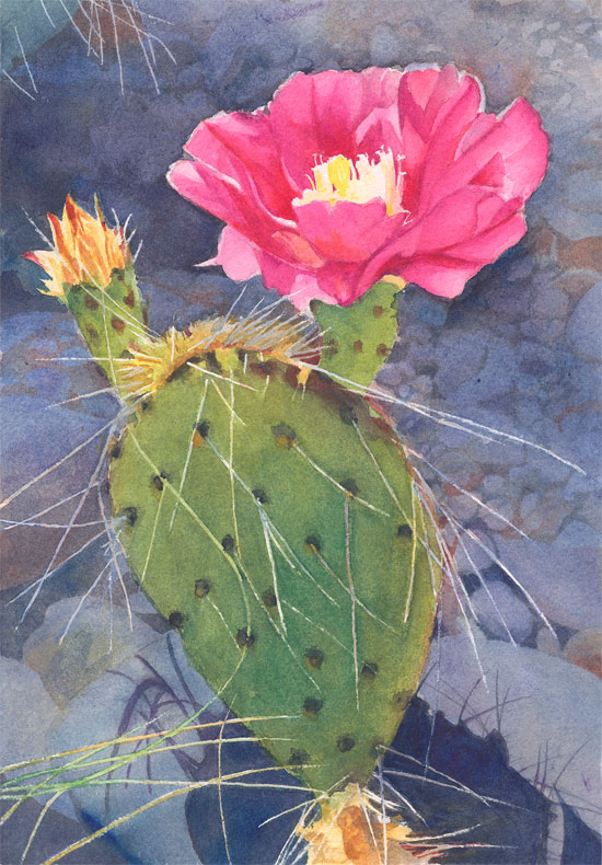 How To Maintain A Rose Cactus I maintain a small backyard organic