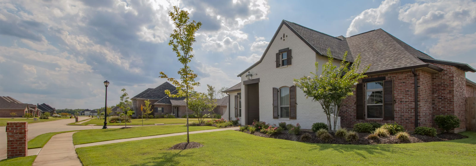 Home Susan Shively Realtor Grand Rapids, MI