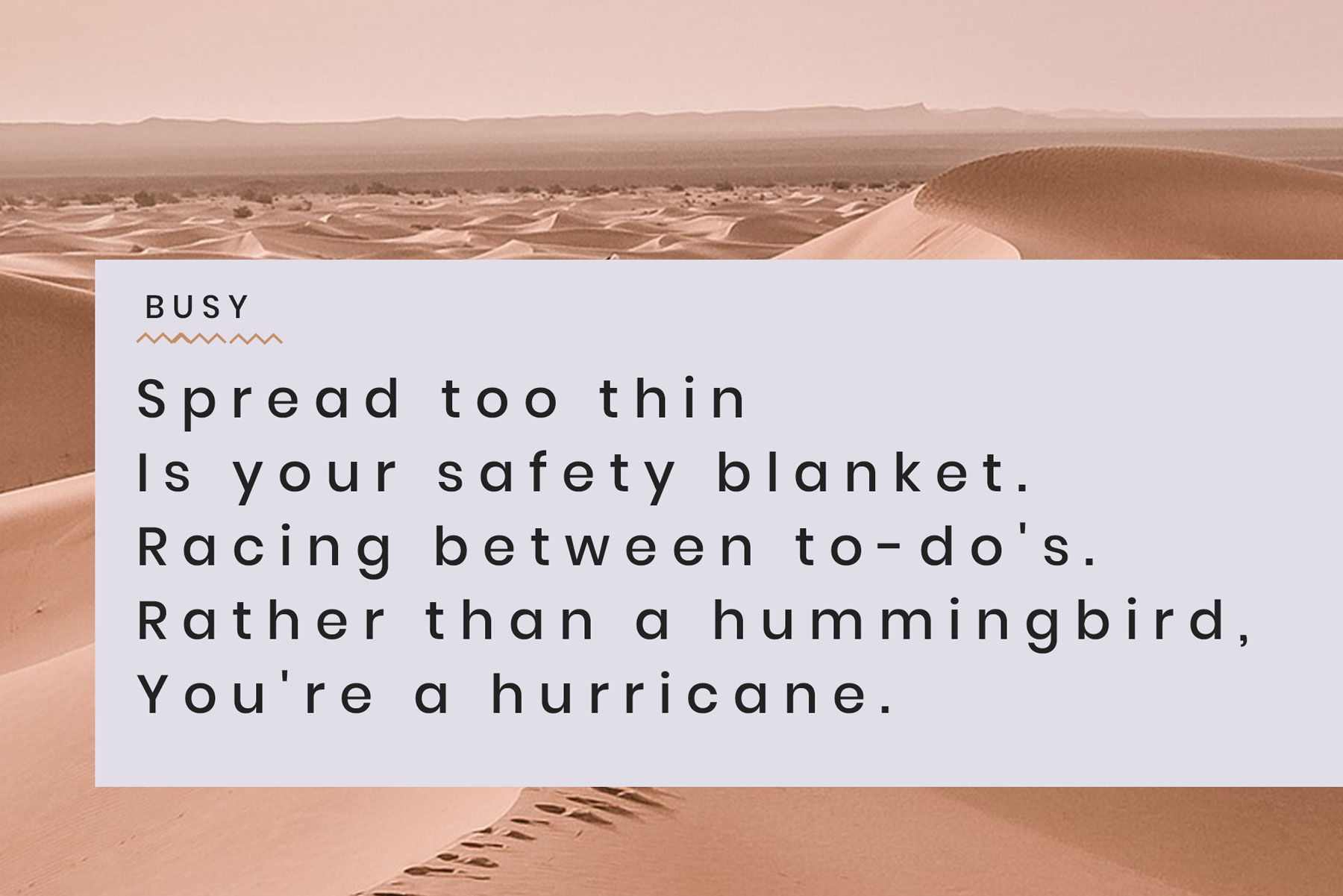 Slowdown Series August 2018 Edition Susan Turvey