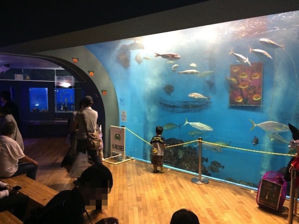 コンプリート！ 水族館 静岡 県 346380 Blogjpmbahewaar