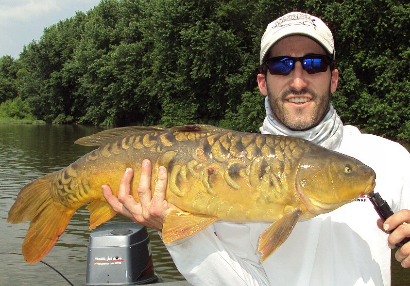 Susquehanna River Fly Fishing and Spin Fishing Guide Service for Carp and Smallmouth Bass