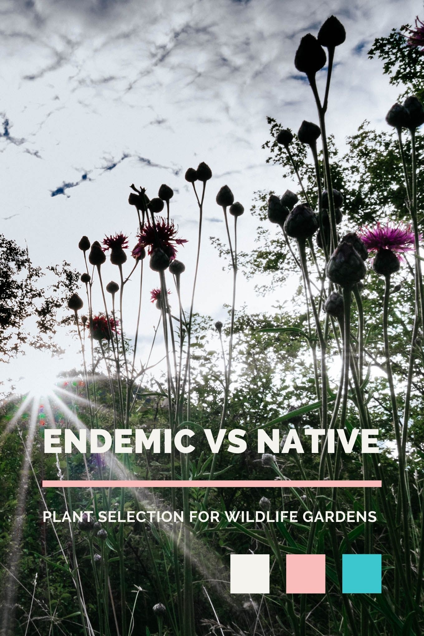 What's the Difference? Endemic vs Native vs Indigenous