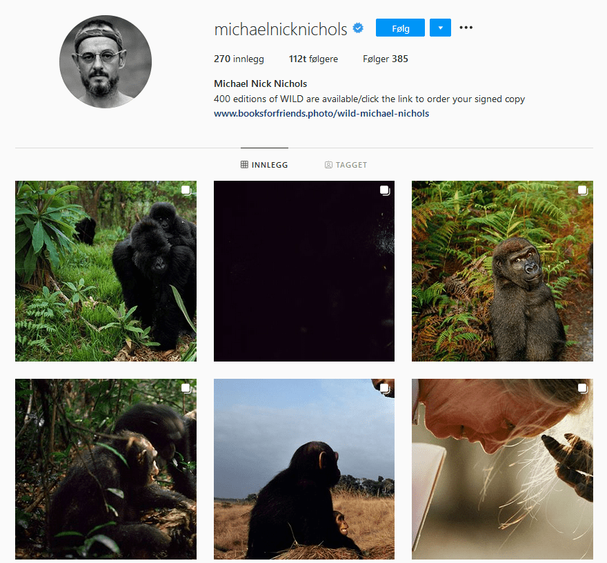 15 best Wildlife Photographers on Instagram for Inspiration