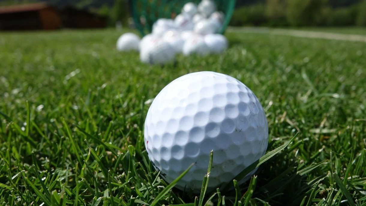 What Are Biodegradable Golf Balls Made Of? SustainabilityNook