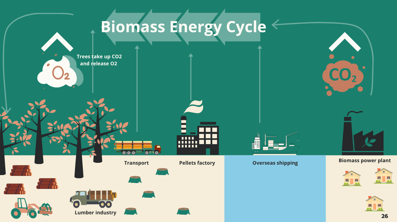 Biomass Energy Cycle