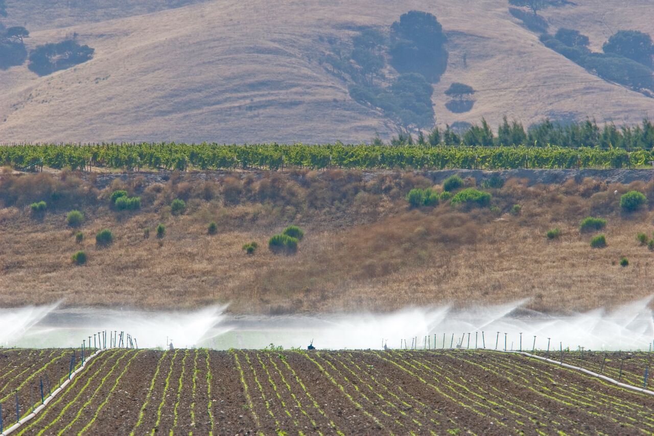 Cool Farm Water Tool Methodology is now Published Sustainable Food Lab