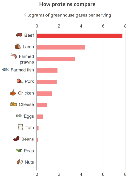 Plantbased diets are they truly sustainable?