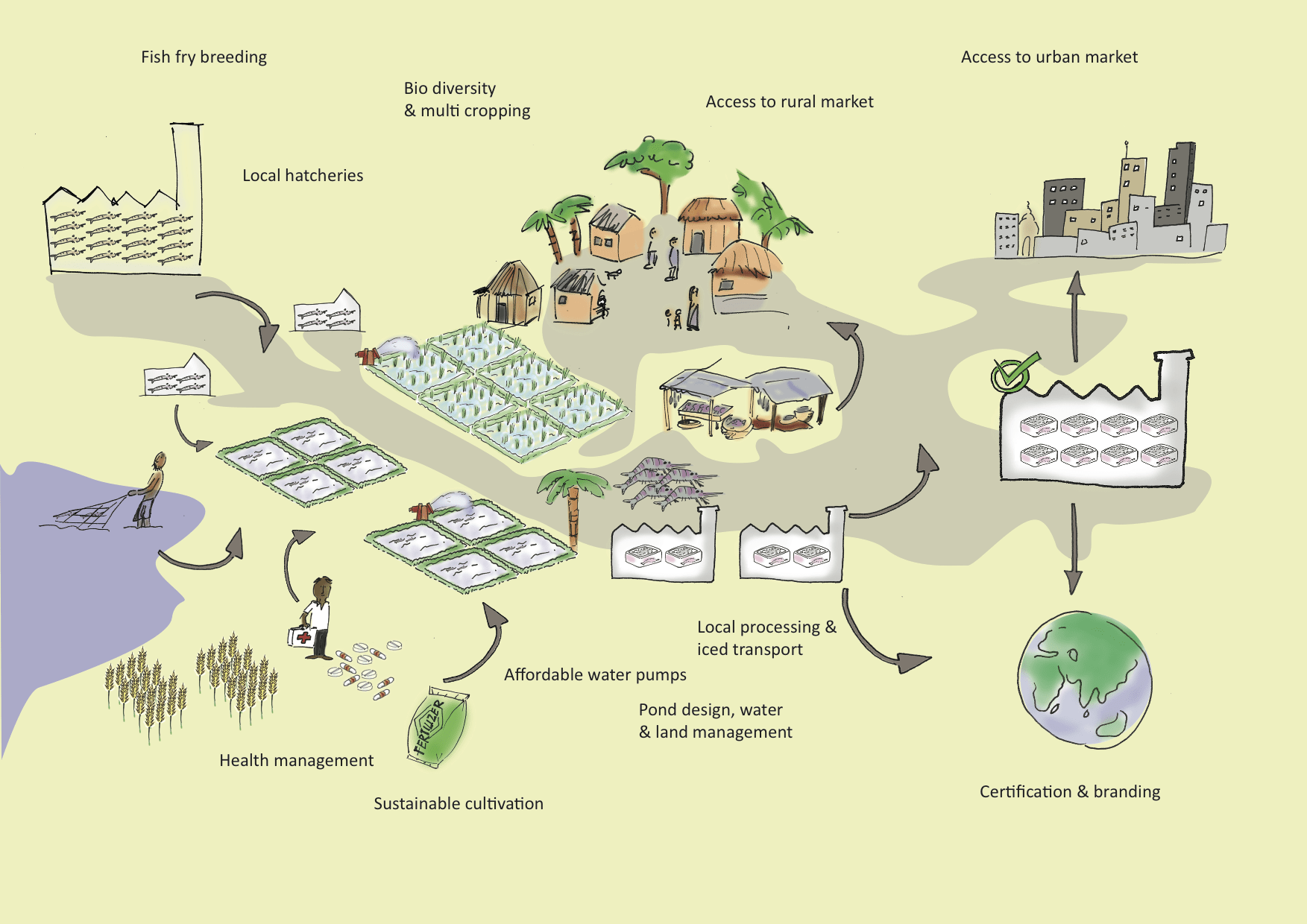 Fishery value chain Bangladesh Sustainable MatchSustainable Match