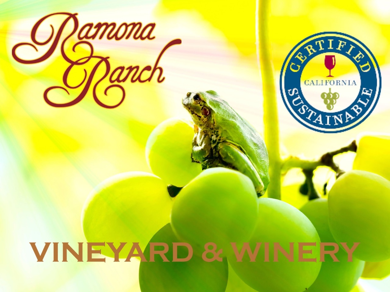 Ramona Ranch Vineyard and Winery, first and only Certified Sustainable