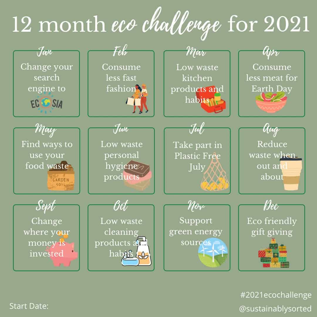 Recap 12 Month EcoLiving Challenge
