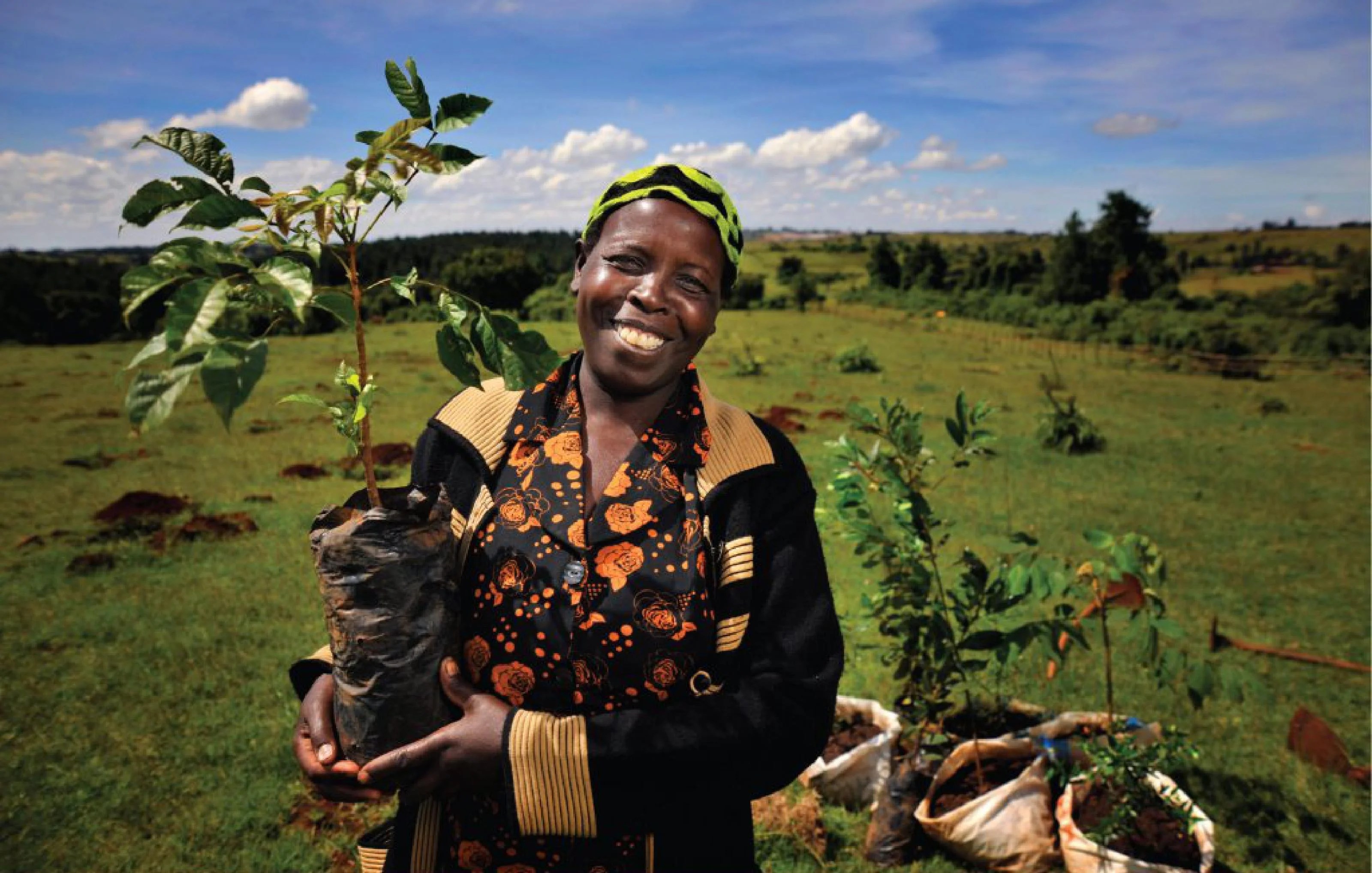 Sustainable Development Goal 15 Life on Land Office of Sustainability