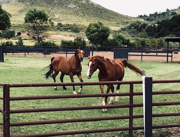 Home, Ramona, CA Sutherland Stables