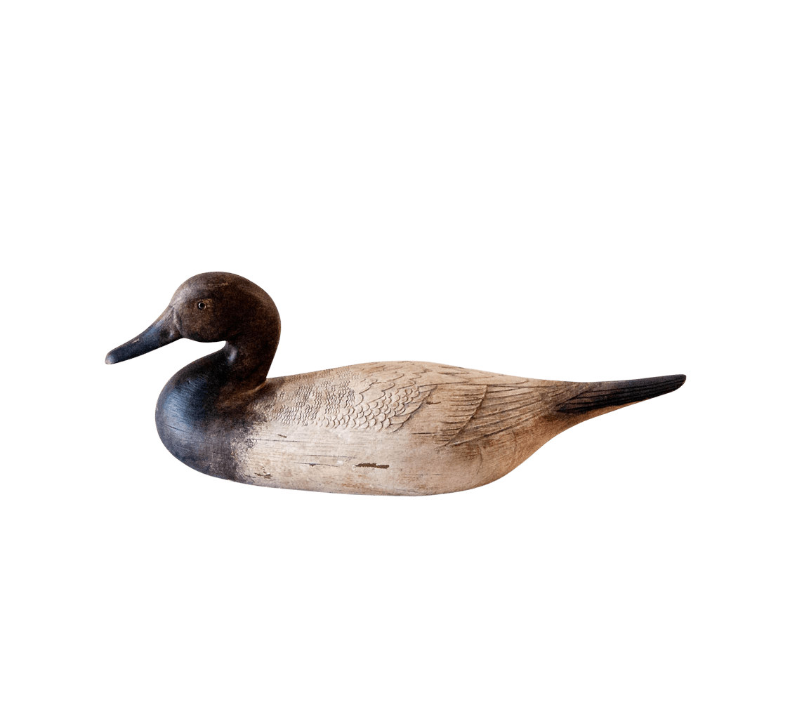 Decorative Decoy Ducks Sutton House Interiors