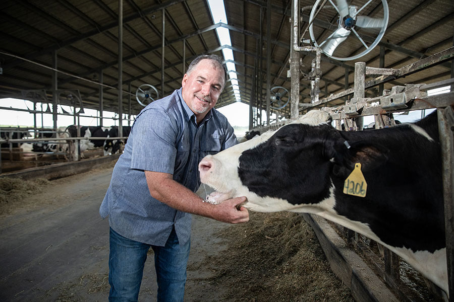 Our Farm Sutton Milk Dairy Farm Okeechobee, Florida