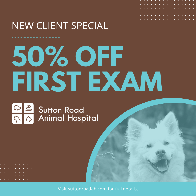 Providing the highest quality, compassionate veterinary care in