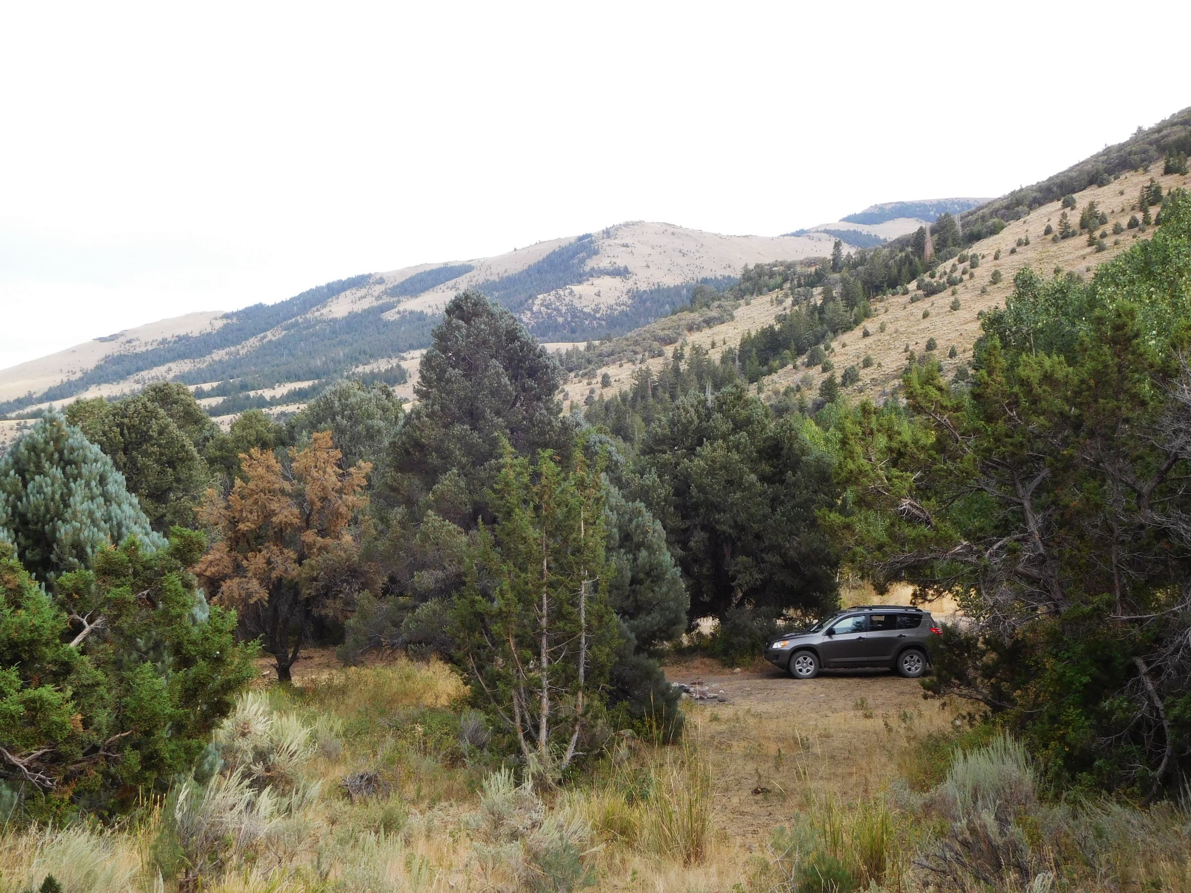 Free Camping at the Clear Creek Road Campsite (Raft River Mountains