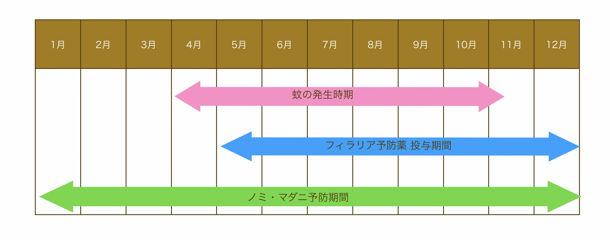 忘れがちな1月〜4月の予防  すわ動物病院
