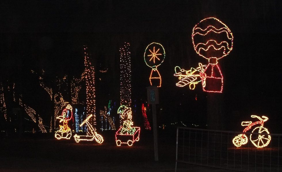 About Suwannee Lights