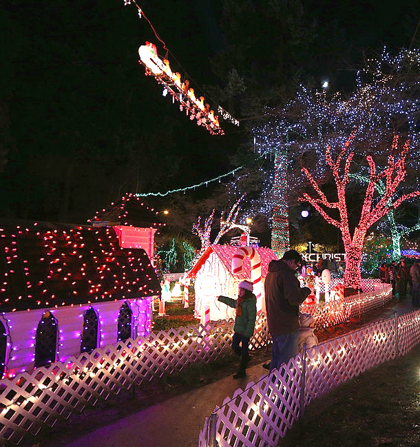 About Suwannee Lights