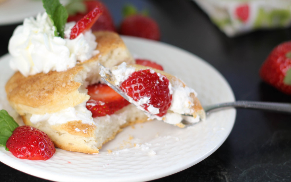 Plant City Strawberry Shortcake Suwannee Rose