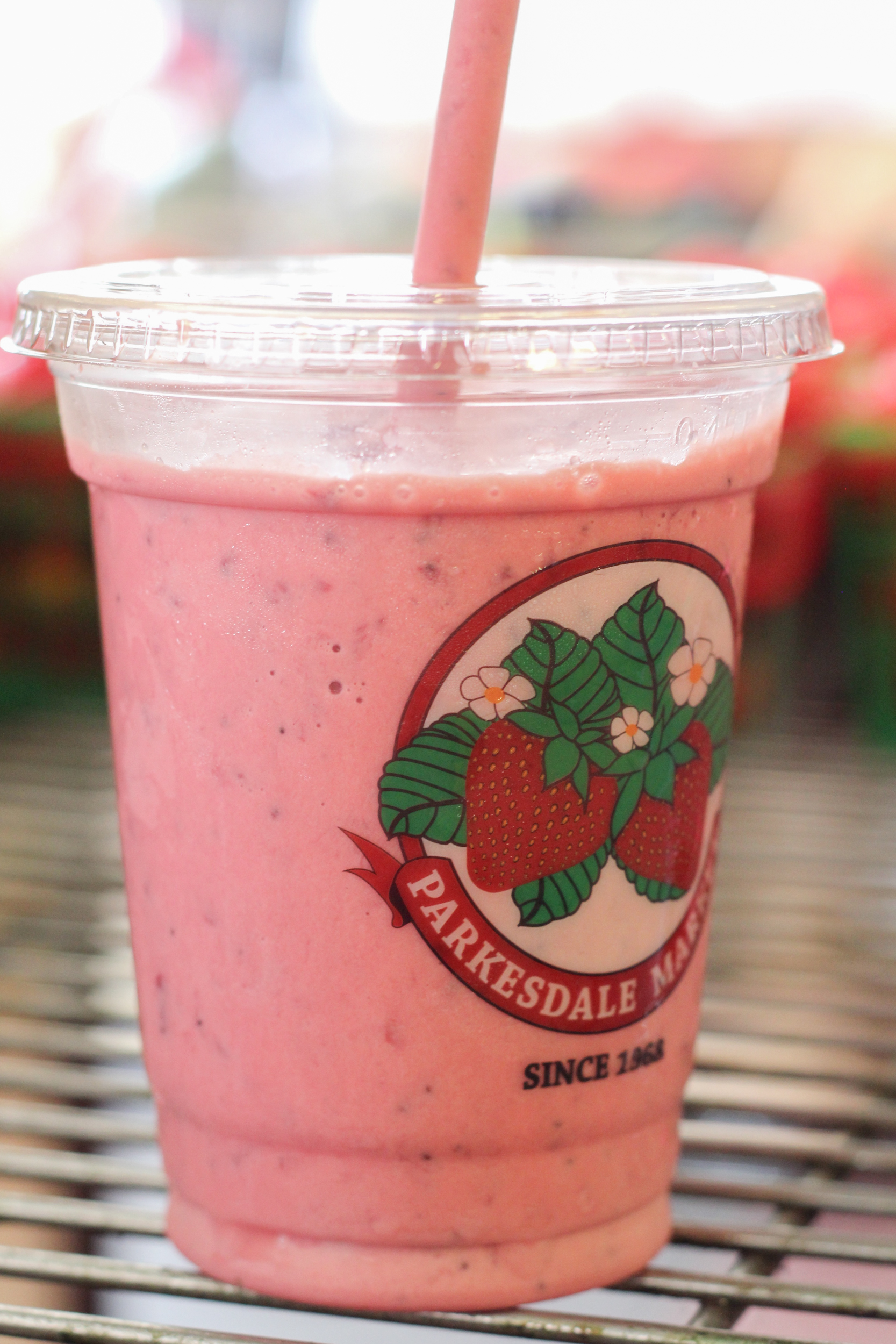 Plant City Strawberry Milkshakes Suwannee Rose