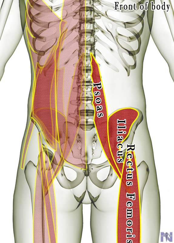 As a whole, hip flexors. My Favorite Stretches For Lower Back Pain ...
