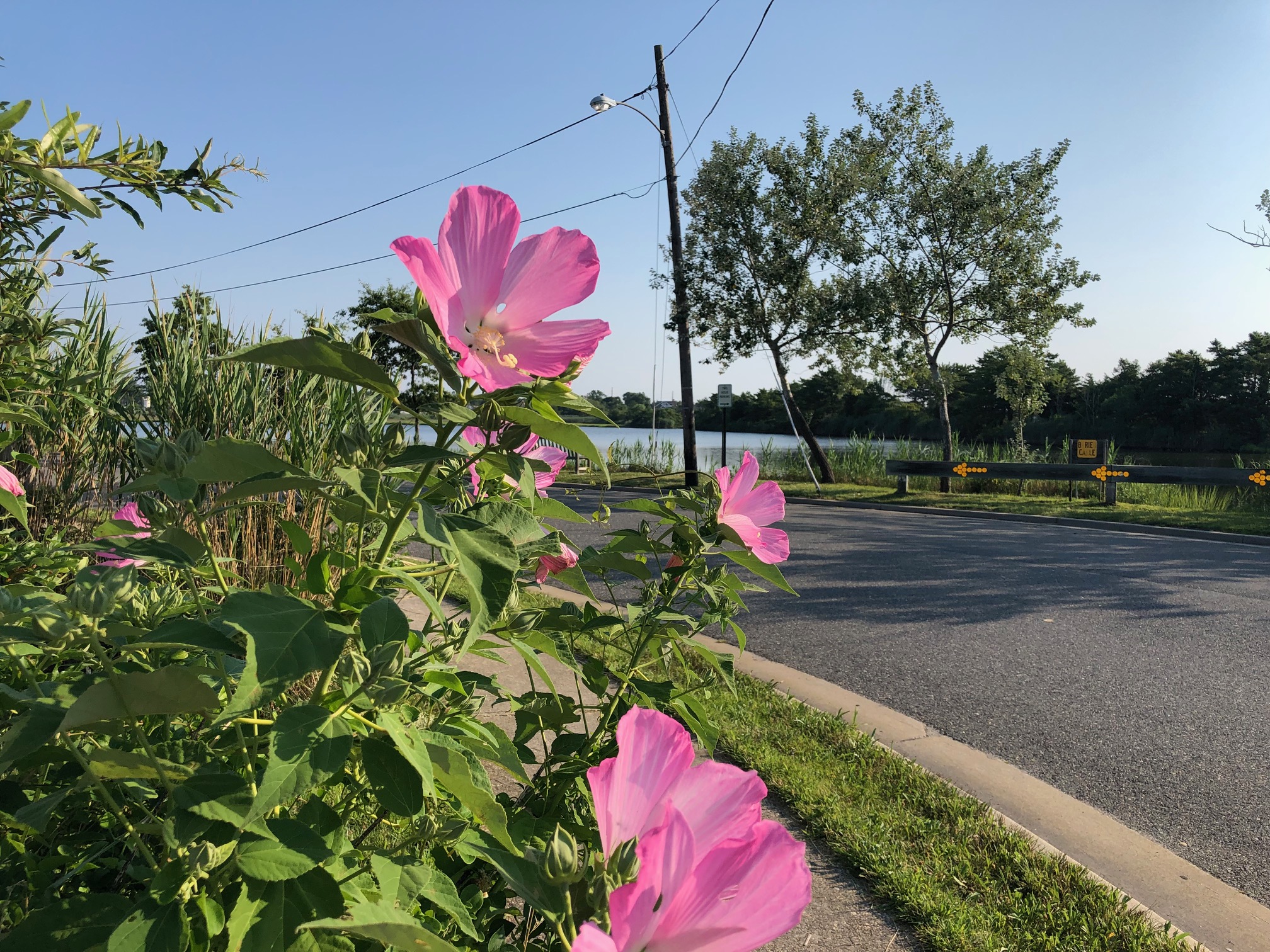 Suzie & Ed Diane Turton, Realtors Bay Head & Mantoloking Real Estate