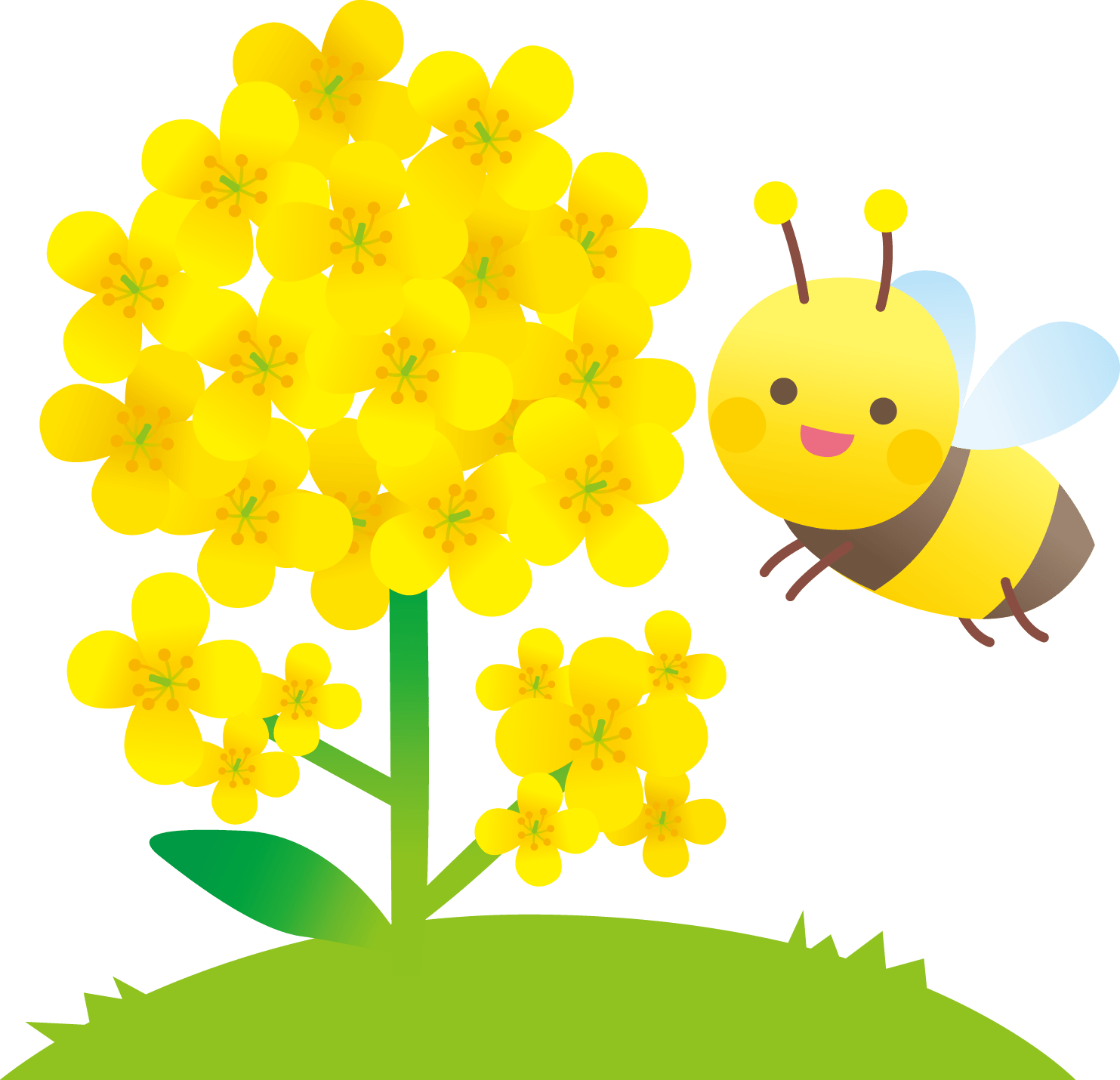 【パタヤ】花を求めてブンブンブン！ 定年退職あぶはち取らず