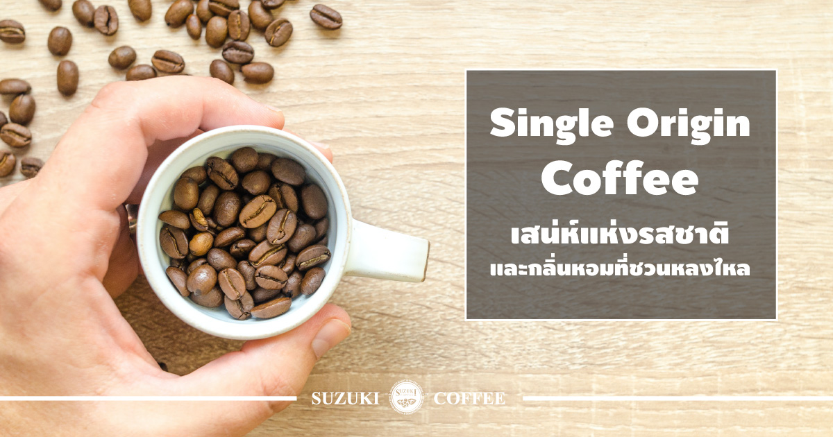 Single Origin Coffee เสน่ห์แห่งรสชาติ และกลิ่นหอมที่ชวนหลงไหล SUZUKI