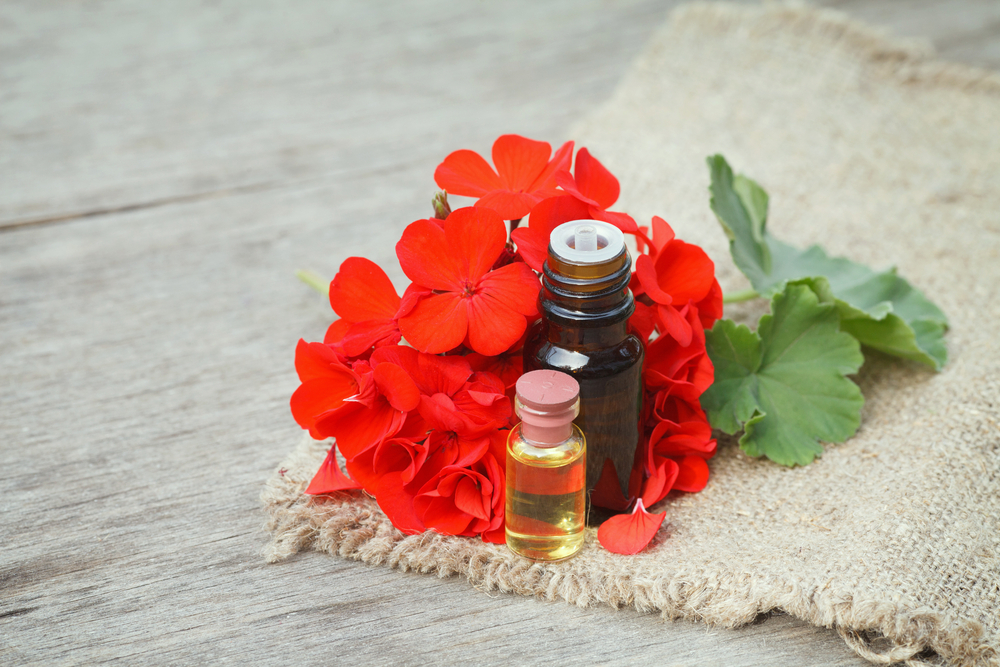 7 Impressive Benefits of Geranium Essential Oil Suzy Cohen, RPh