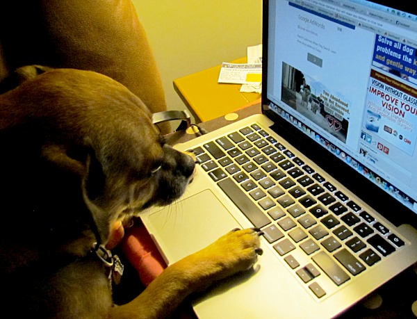 TTS Online : Free Text to Speech Voices : Read The Words