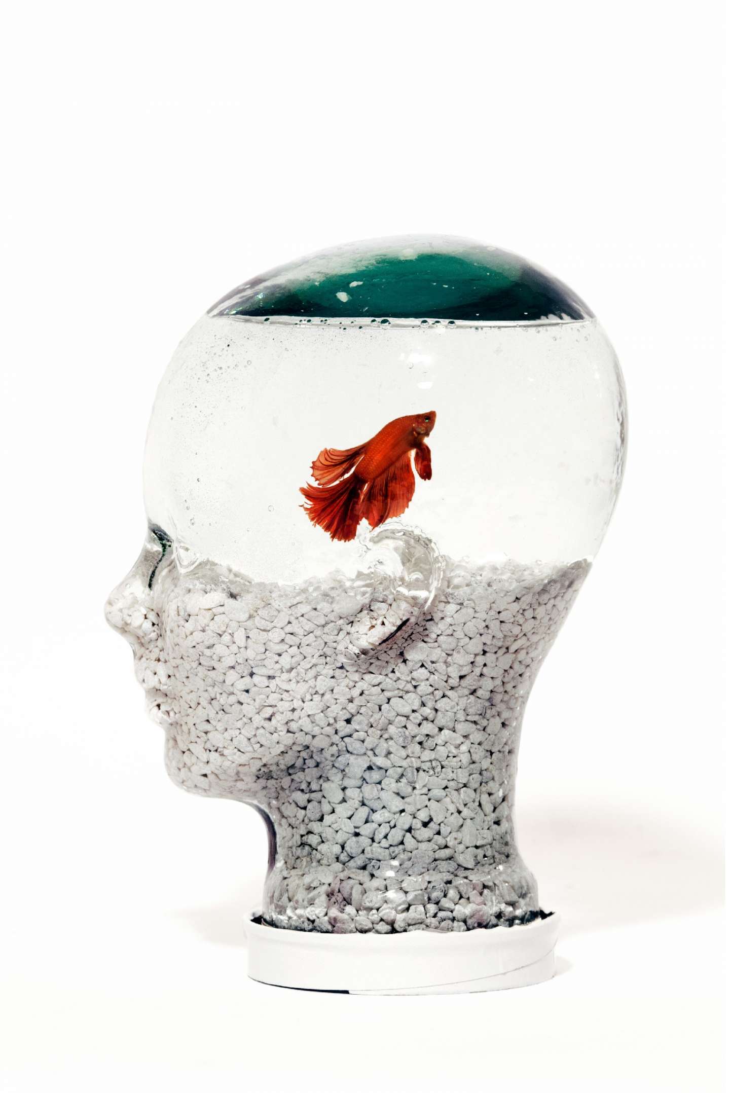 Glass Head Fish Tank by Josealberto Herrera SVA Design