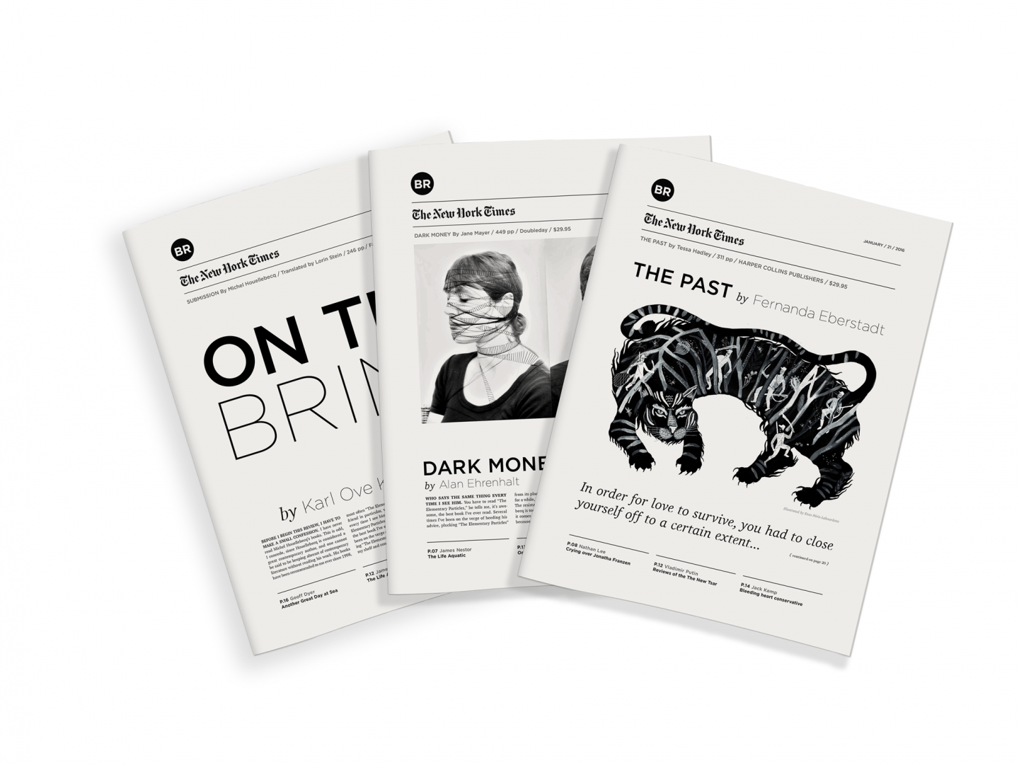 New York Times Book Review by Shih Ching Tu SVA Design