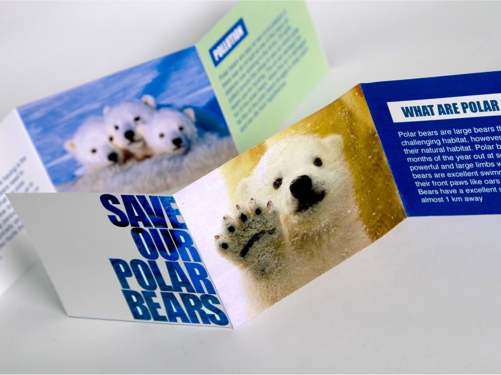 SAVE THE POLAR BEARS by Hee Won Cho SVA Design