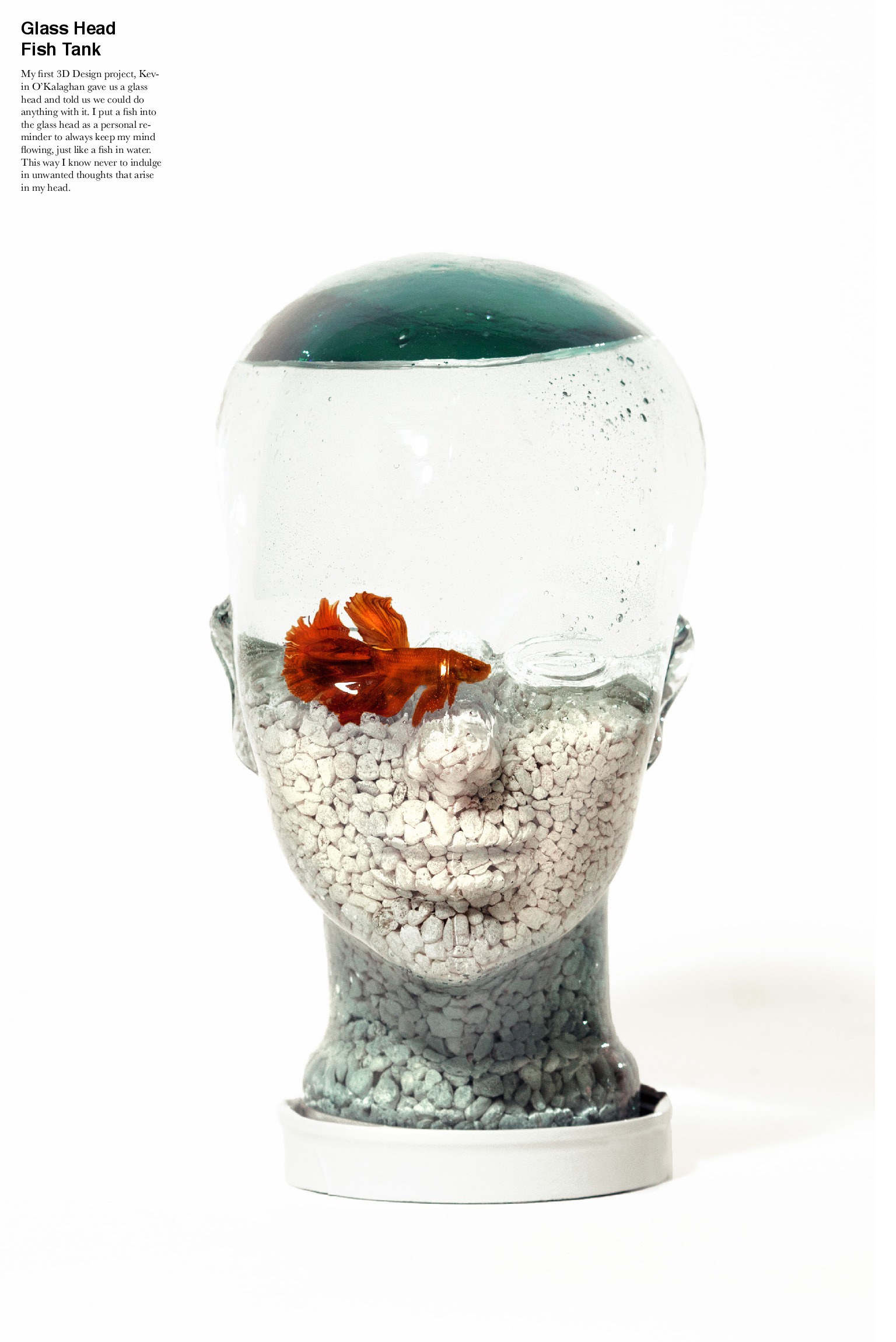 Glass Head Fish Tank by Josealberto Herrera SVA Design